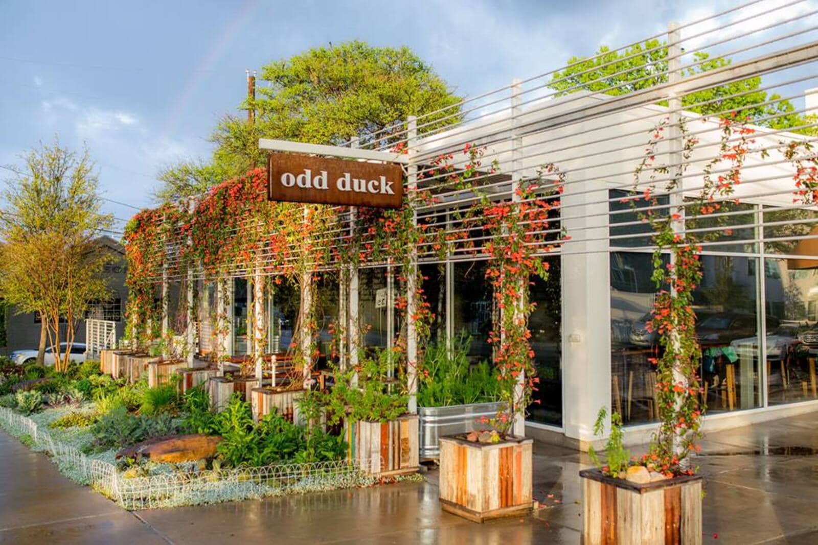  The exterior of Odd Duck is overgrown with flowering vines snaking off trellises, and a garden of low-lying plants bursts along the side.