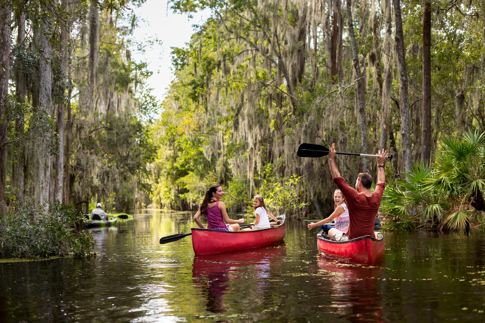 A white family makes its way down a river flanked by trees in a pair of red canoes, the father triumphantly holding an oar overhead.