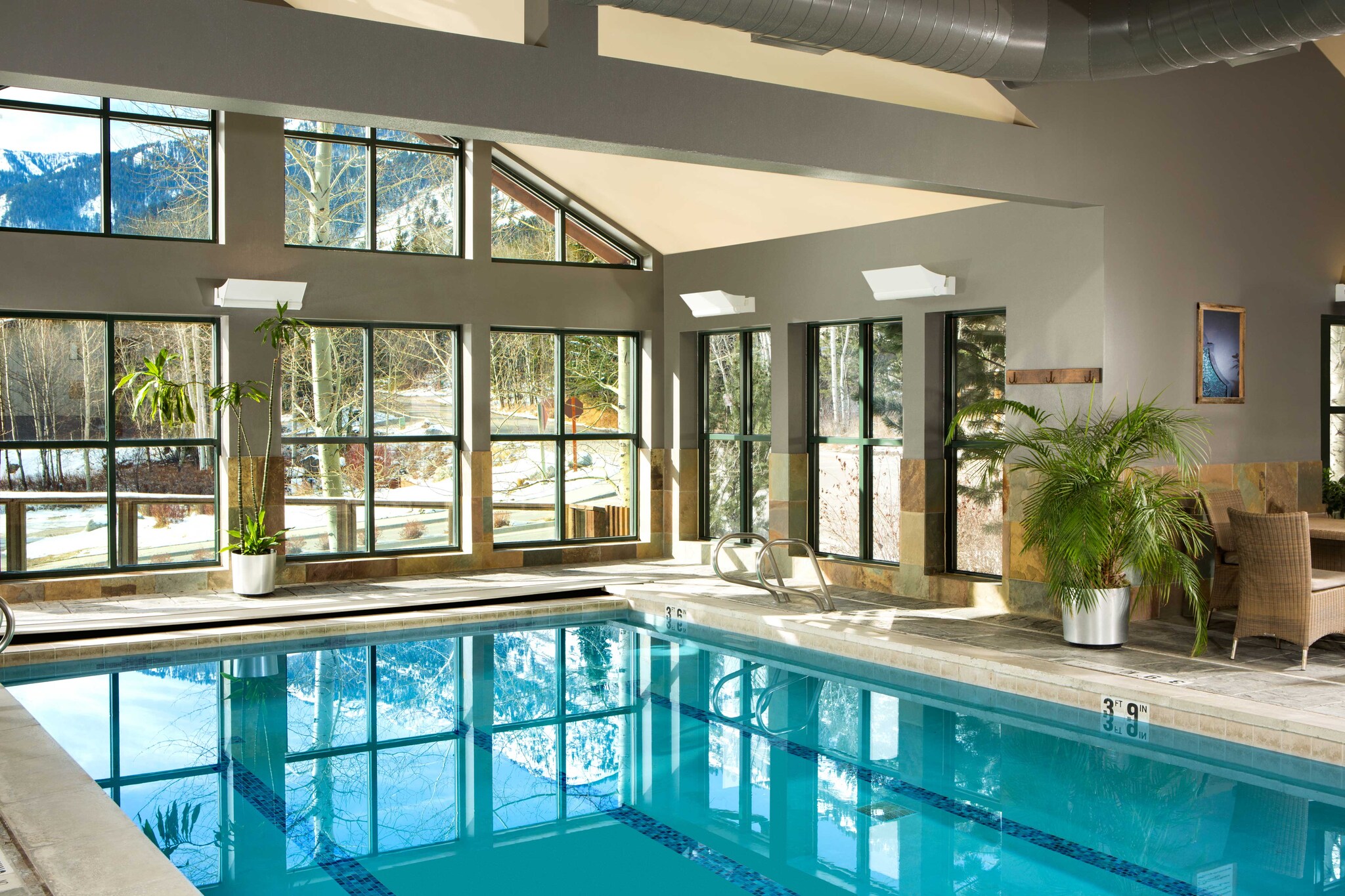 An indoor pool is surrounded by potted plants and wicker chairs, and a nearby wall of windows reveals snowy trees.