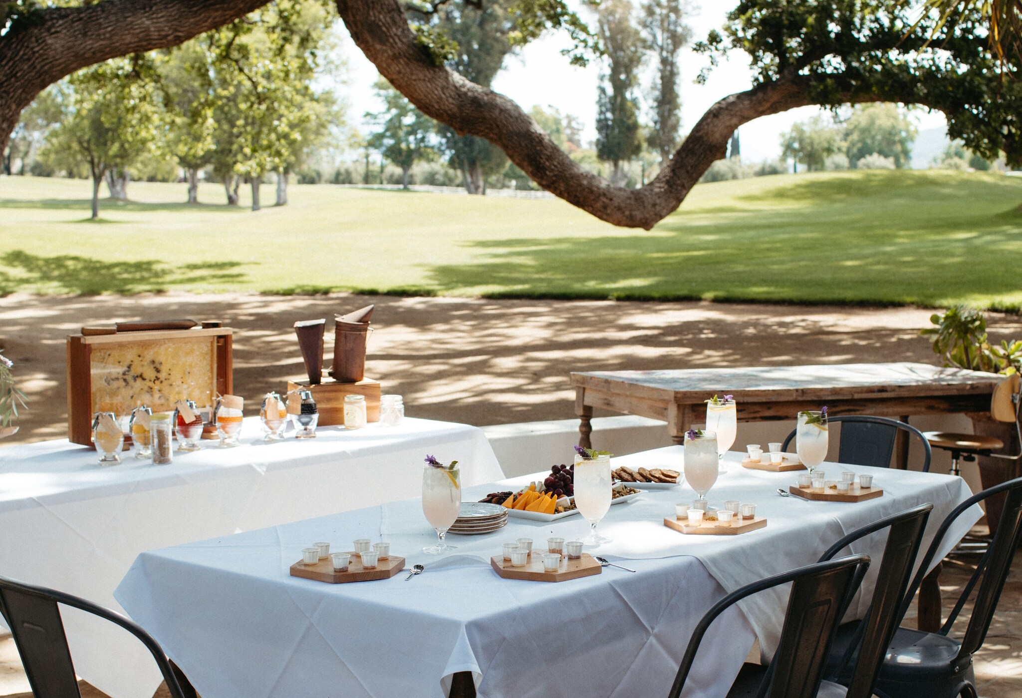 Tables set with white tablecloths, cool drinks, and snacks are arrayed in the dappled shade under a tree near a field.