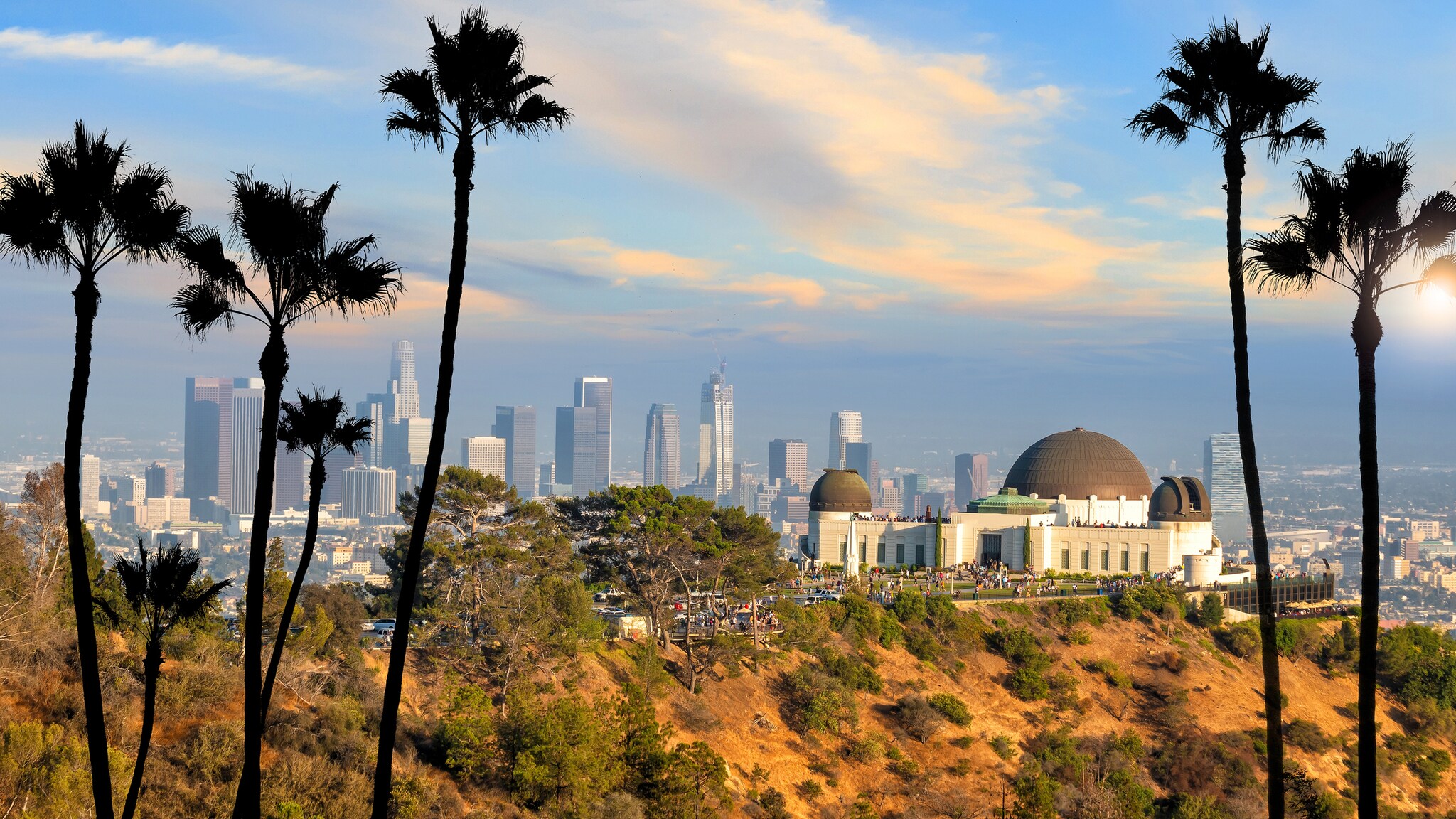Aerial view of the Griffith observatory, a white structure with copper domes atop a hill, surrounded by shrubs and palm trees.