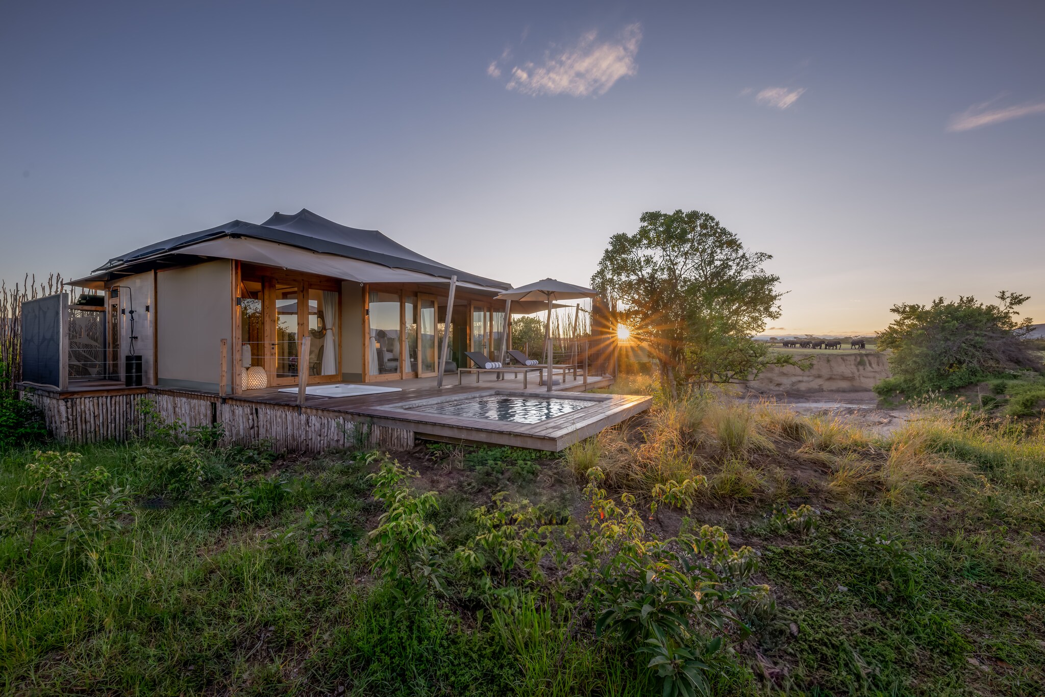 At sunset at the Honeymoon Tent, sun beds are laid out on a private deck next to a plunge pool. Elephants graze far in the background.