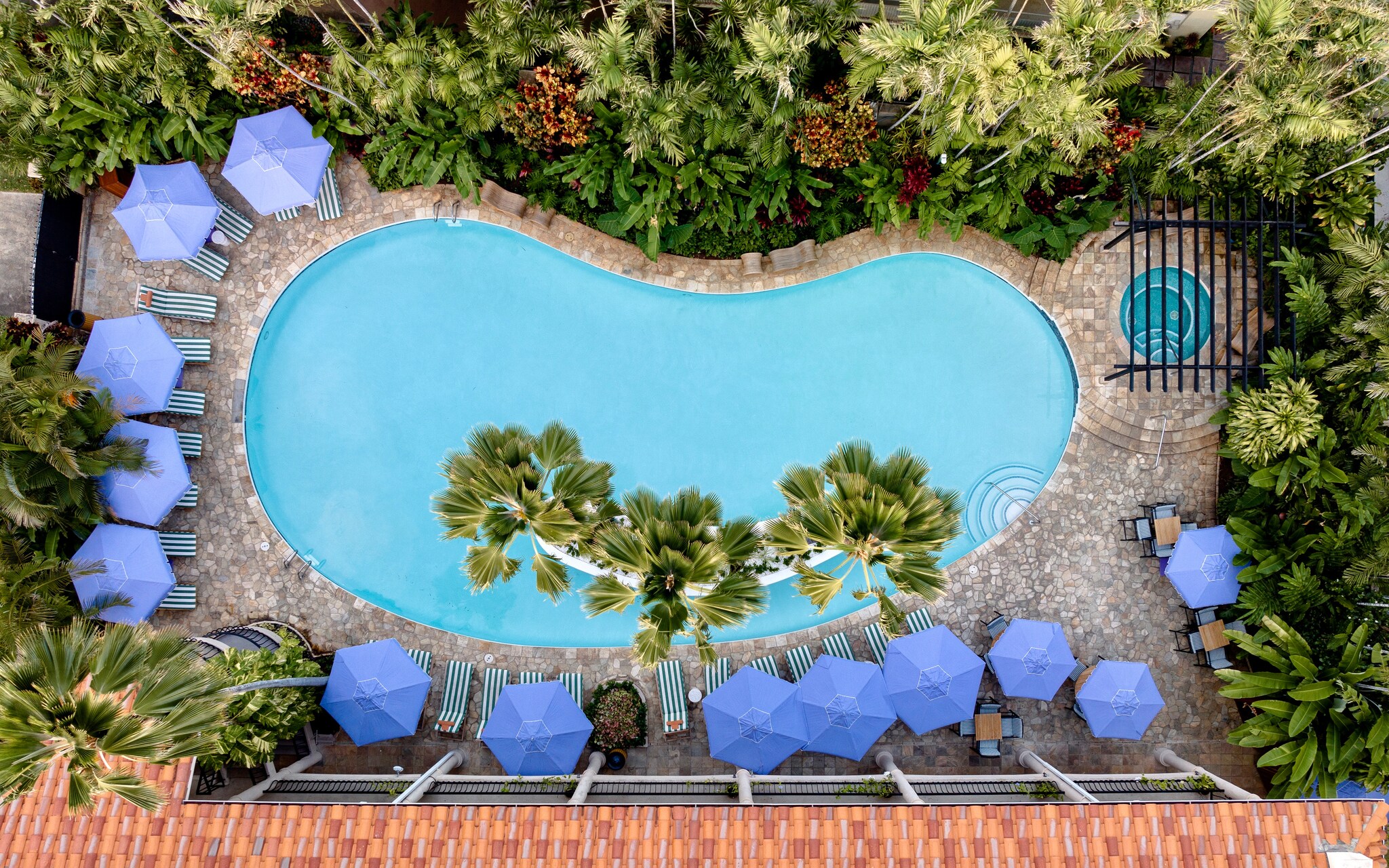 Overhead aerial view of the saltwater lagoon pool and hot tub, which is surrounded by gray tile, purple umbrellas, and dense foliage.