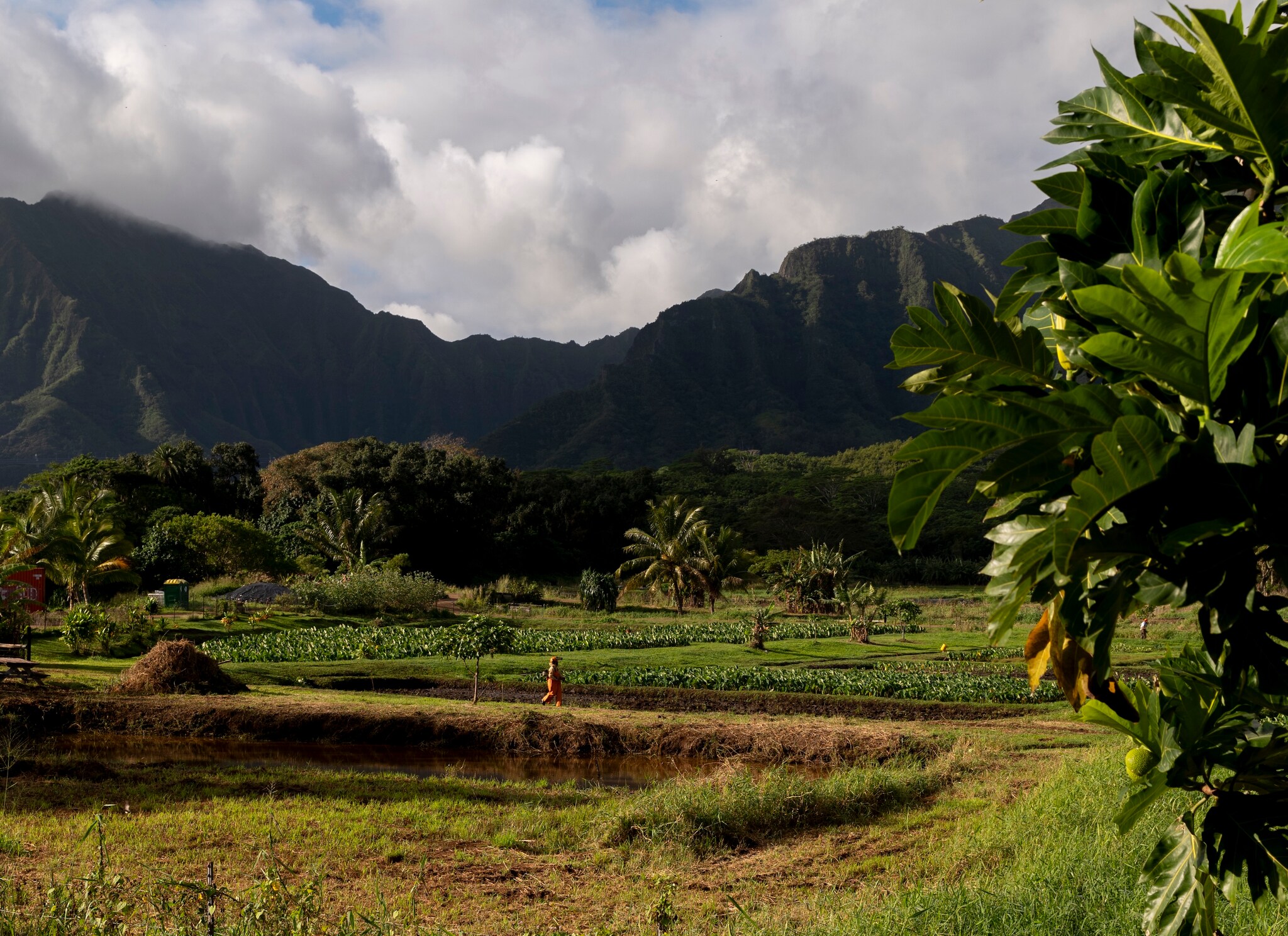 Lush farmland is framed by thick trees, towering mountains, and a sky dense with clouds.