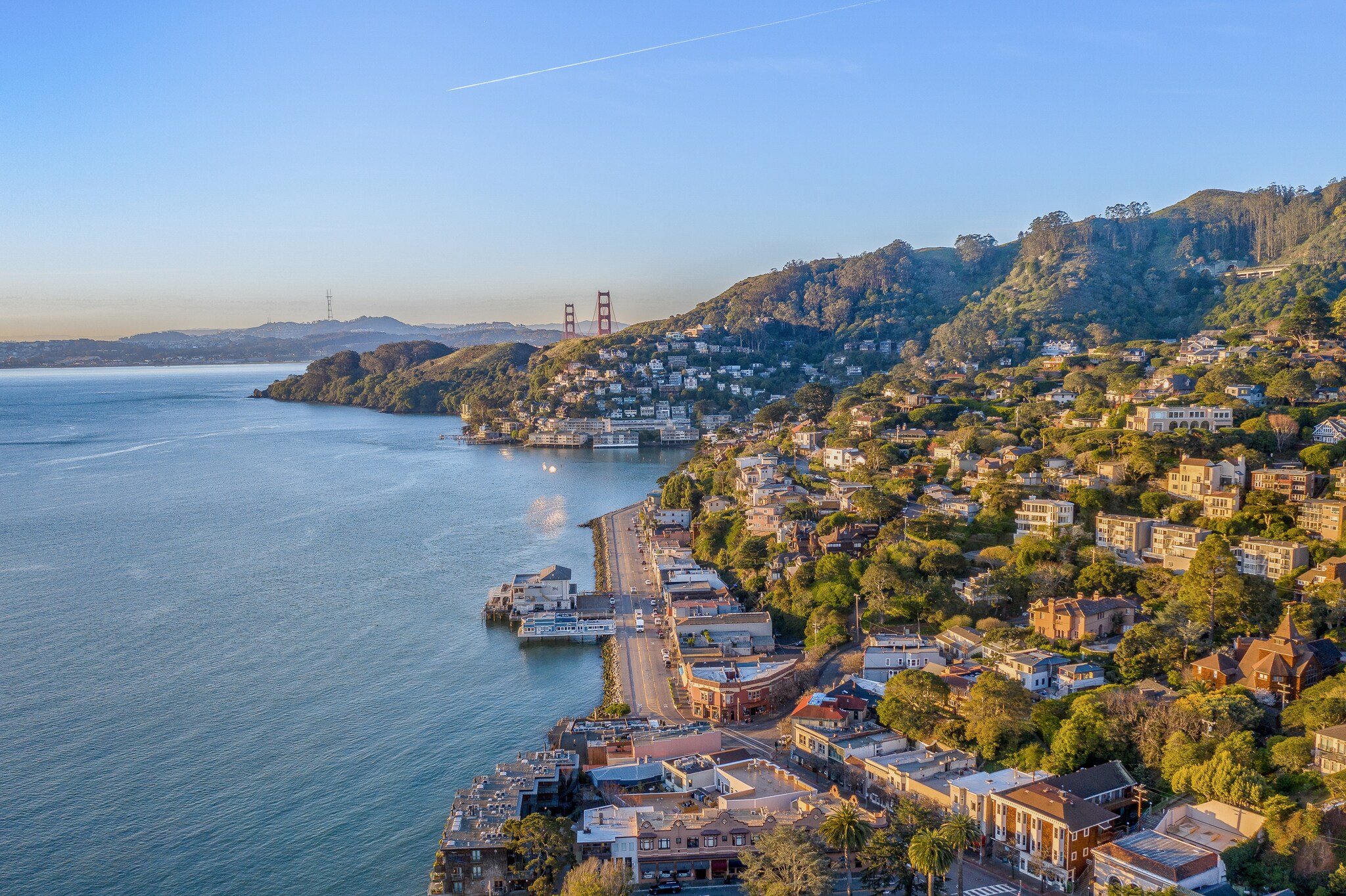 Aerial view of Sausalito, with houses dotting forested hills leading down to a road by the water.