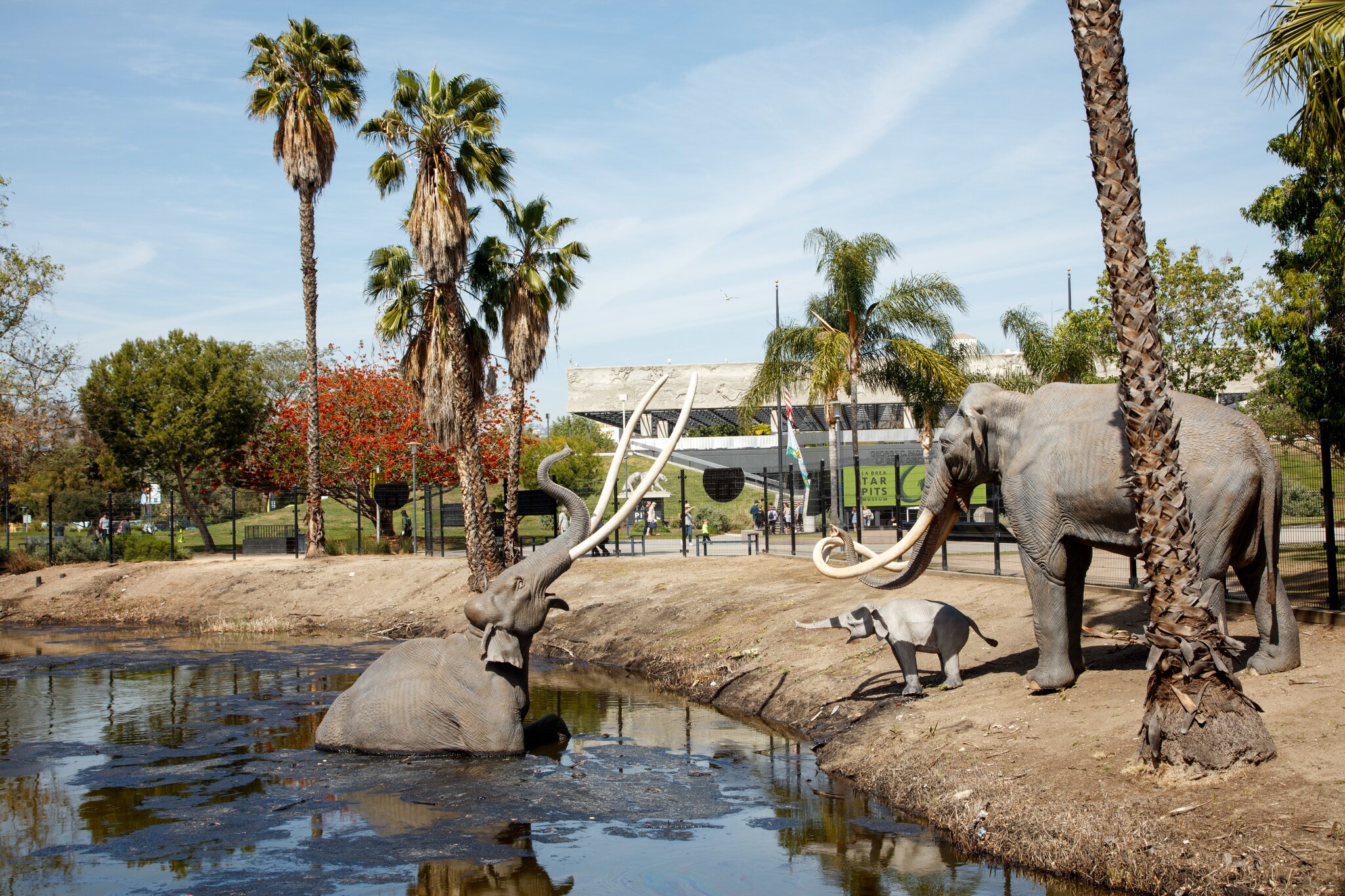 A fake elephant is embedded in the tar pit, reaching out to a statue of its mate and child on the bank of the pit.