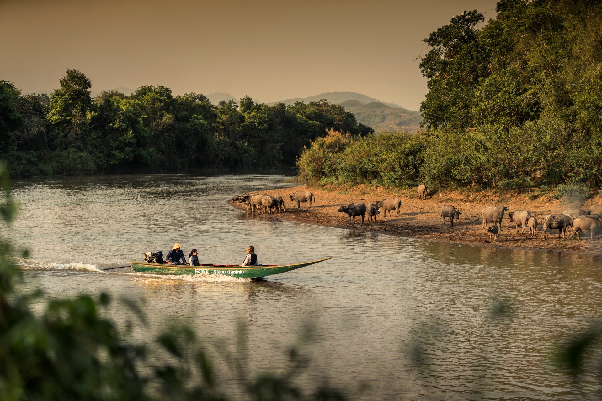 A small green boat carries guests down a river past cattle grazing on a red-soil shore.