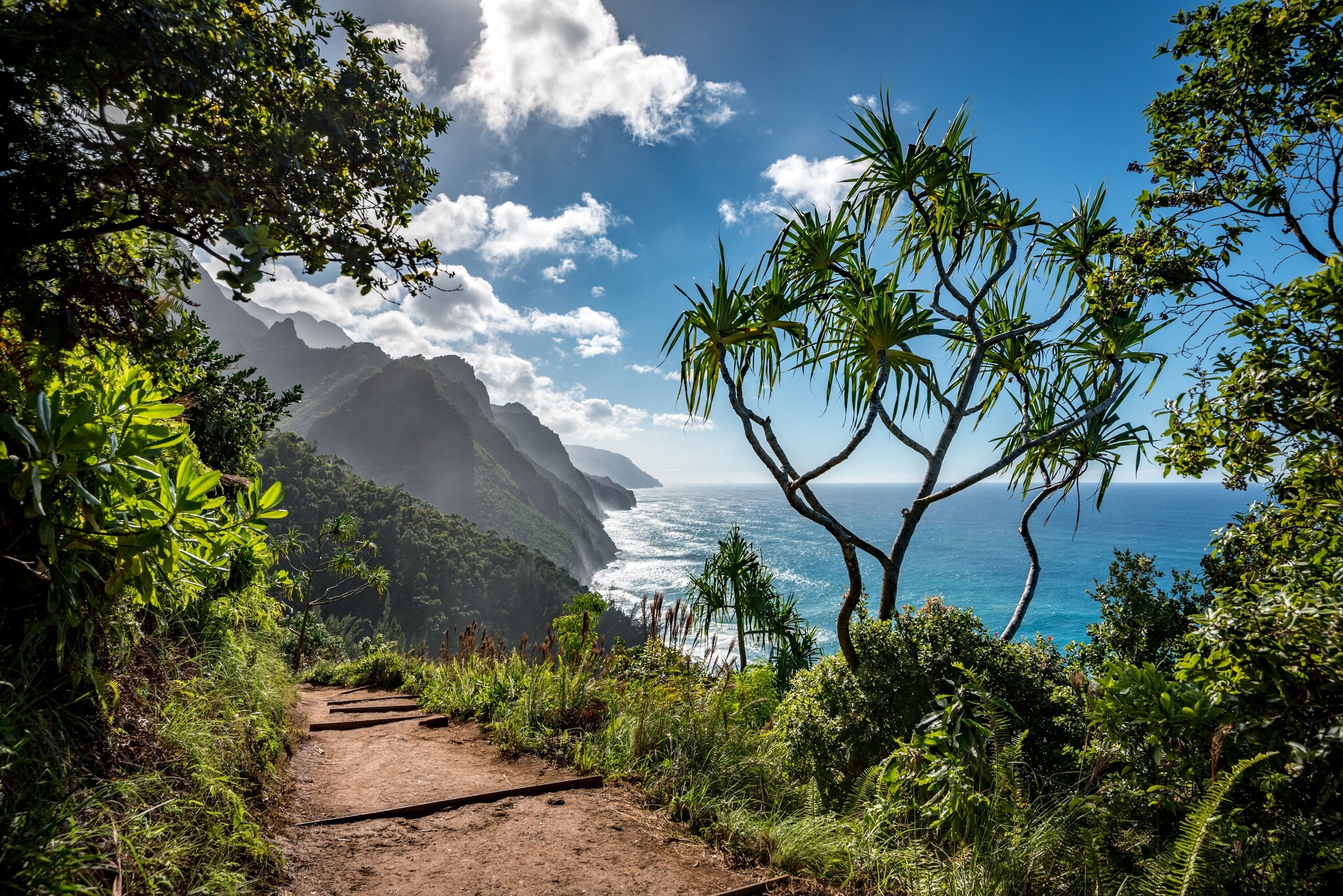  The jungle opens on a dirt hiking path to reveal bright blue skies, the ocean, and a misty mountainous coastline.
