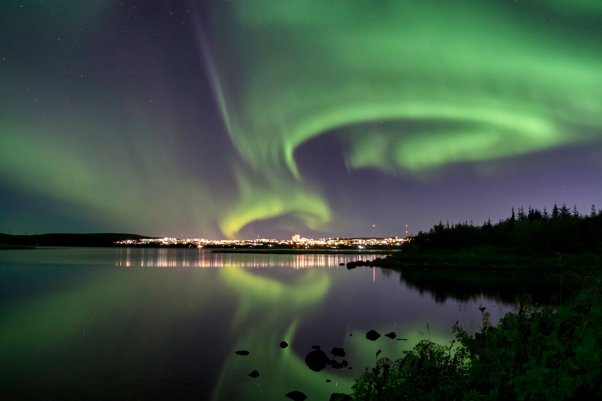  At night, beyond a glassy harbor and forested shores, green and purple bands of aurora borealis swirl over the Reykjavik skyline.