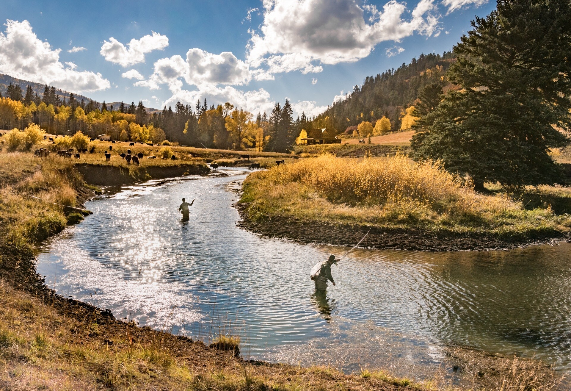 Two people wade into the middle of the nearby river fly fishing. The bright sun reflects on the water and deer graze in the nearby fields.