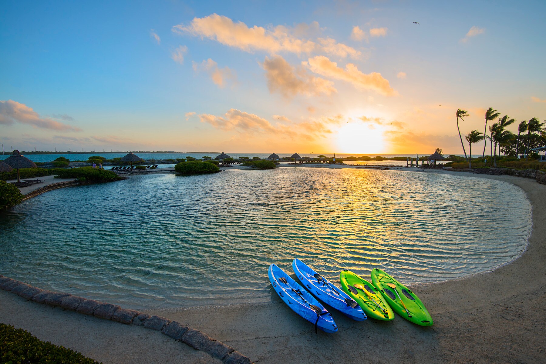 Four kayaks, bright blue and bright green, rest on the shore of a circular cove at sunrise. In the distance, palm trees wave in the wind.