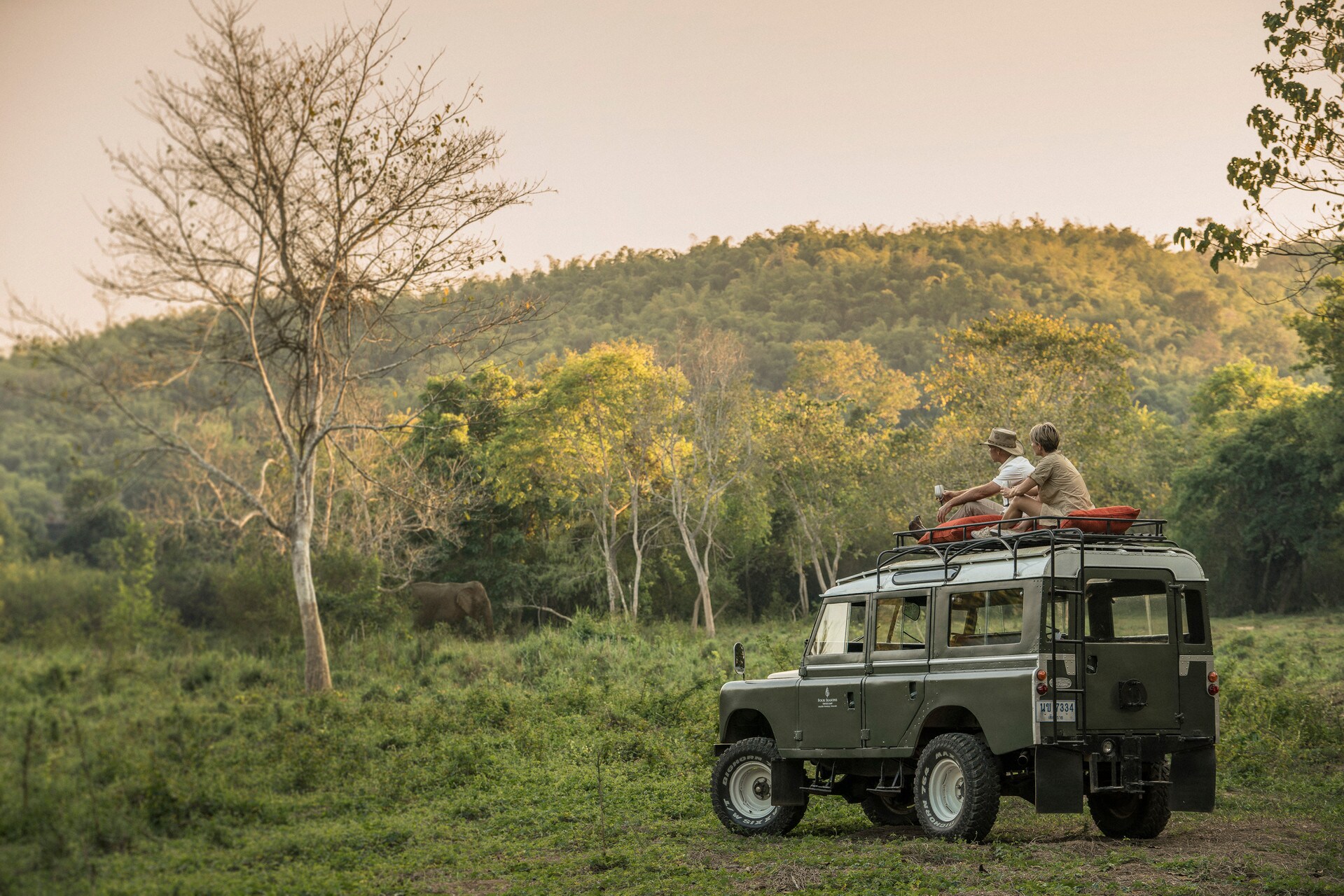 A couple in khaki clothes sits on the roof of a green car parked in the wilderness, watching an elephant grazing in the distance.