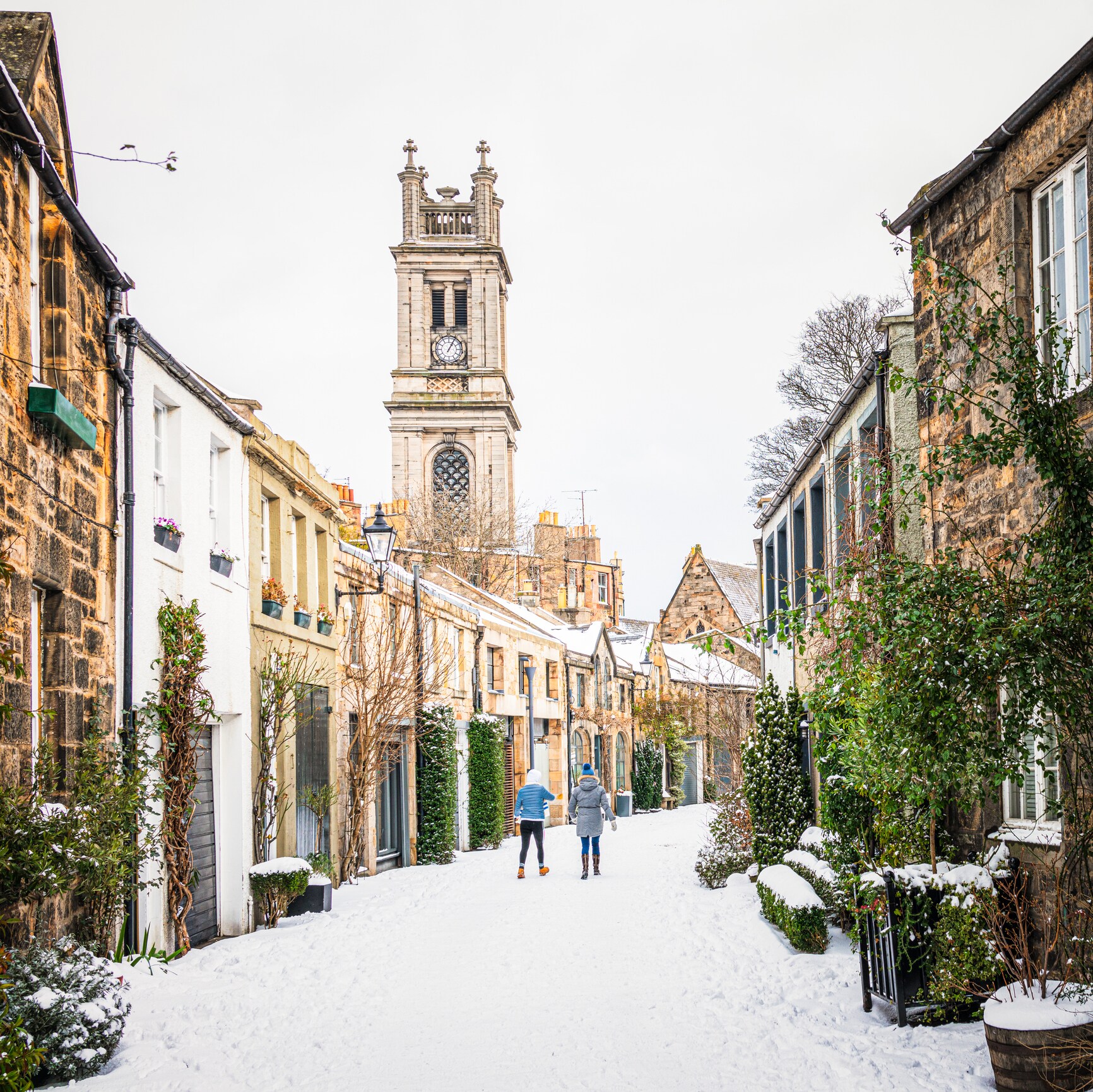 View down Circus Lane, which is full of houses overgrown with creeping ivy. The clocktower of Ashton Hall peeks over the roofs.