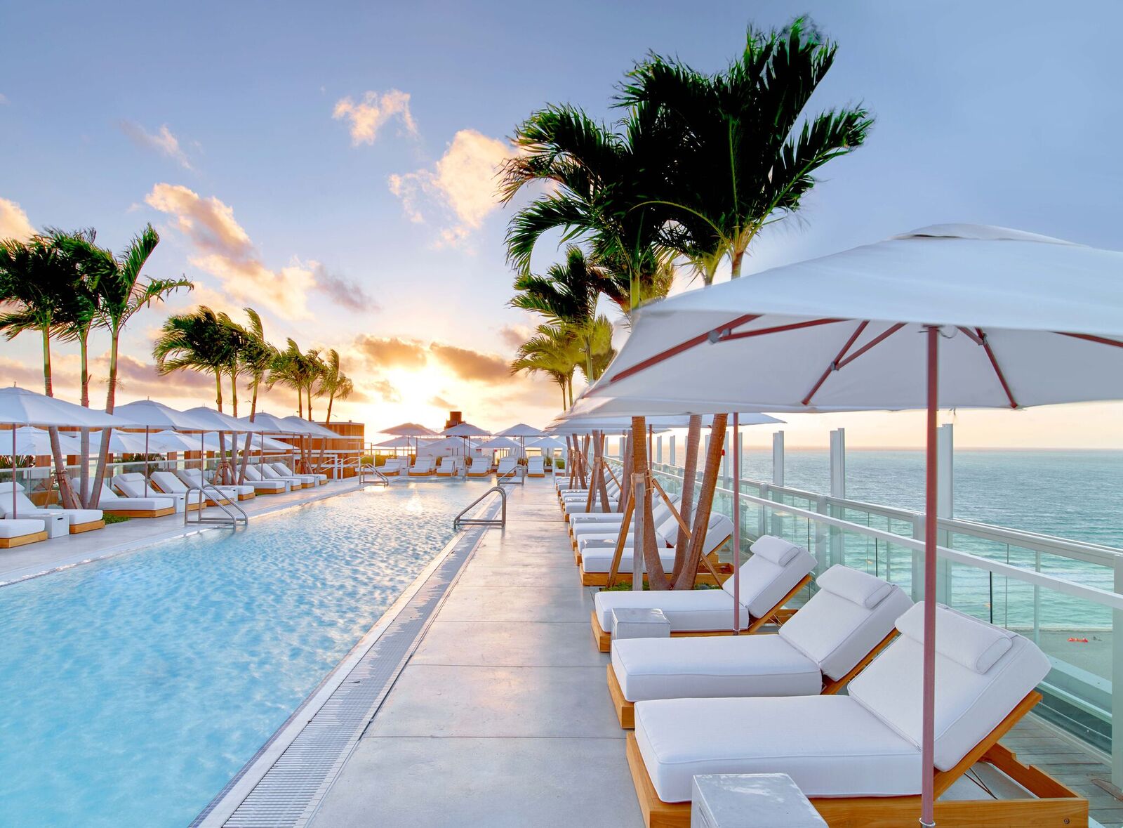 At sunrise, the sun breaks over the pool deck and palm trees wave in the wind. White sunbeds and umbrellas line either side of the long pool.