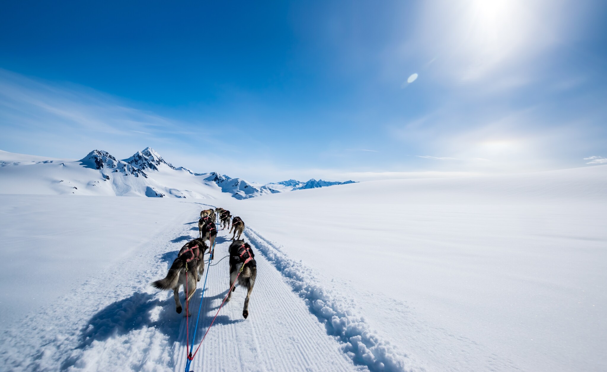 View from behind as a team of sled dogs runs down a track through a snowy plain, mountains in the distance.