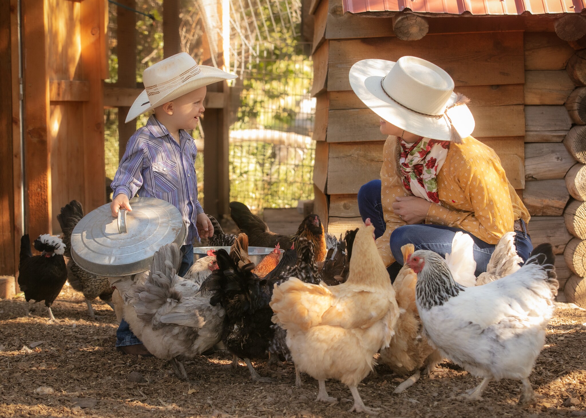 Child and adult feeding chickens