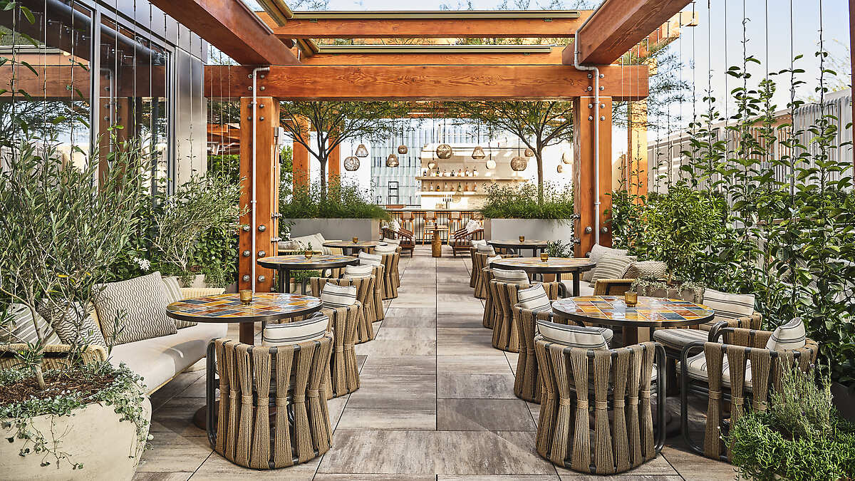 Outdoor dining among flora