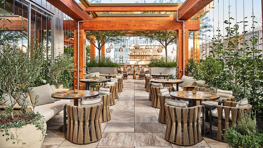 Outdoor dining among flora