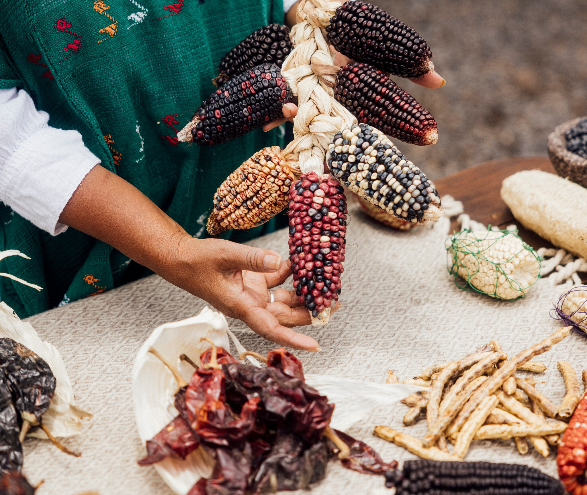 display of multi-colored corn, dried peppers, and spices