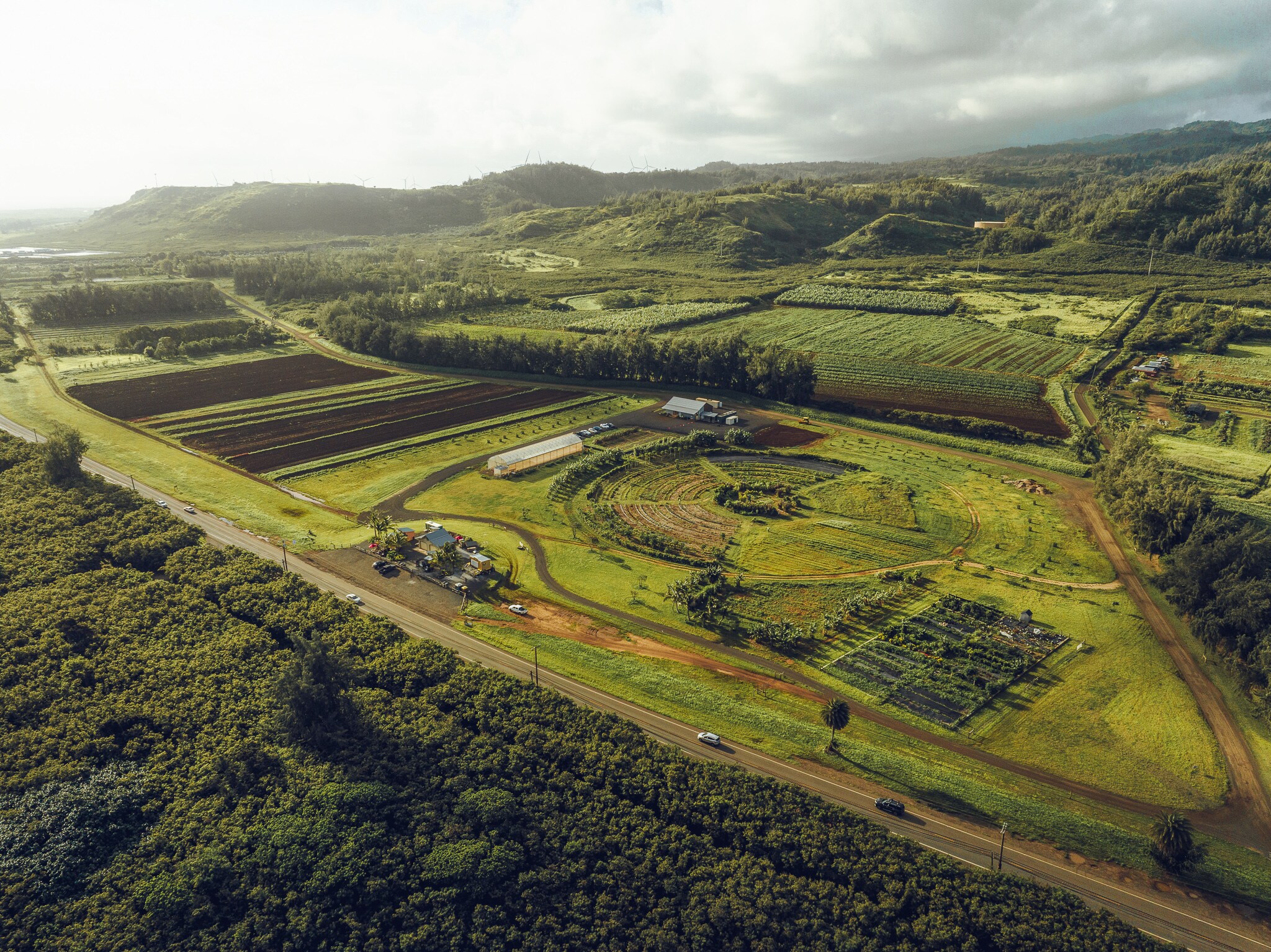 Aerial view of farms