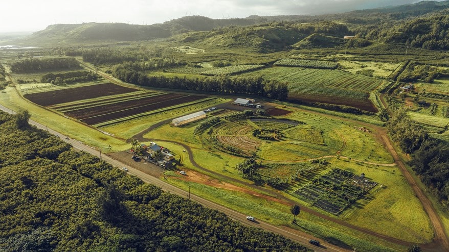 Aerial view of farms