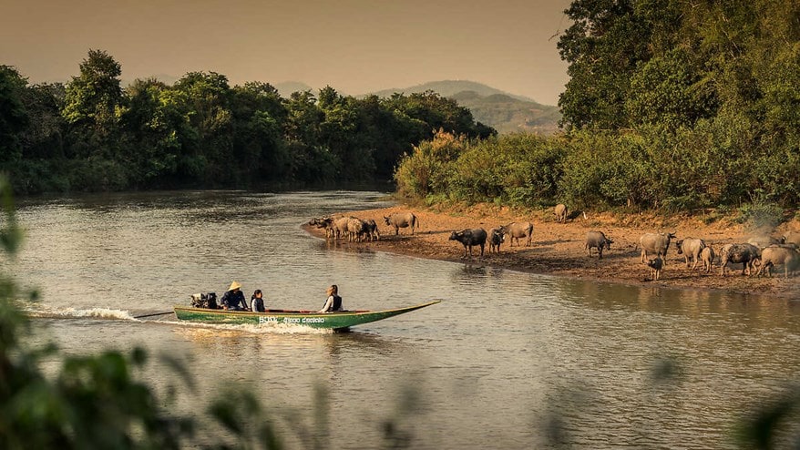 Boat on river near bank of wild animals