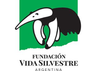 Fundación Vida Silvestre Plantación de 3 árboles nativos en la selva misionera