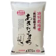 カワサキ森田屋 秋田県横手産あきたこまち　特別栽培米　生産者限定　5kg