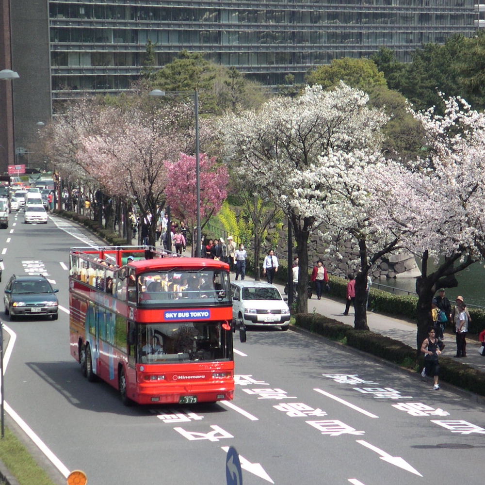 2階建てオープンバスに乗って、東京遊覧エクスペリエンス。