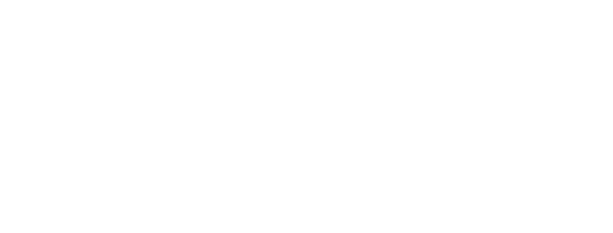 American Express Logo American Express Logo
